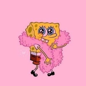 Meet your Posher, Kosi